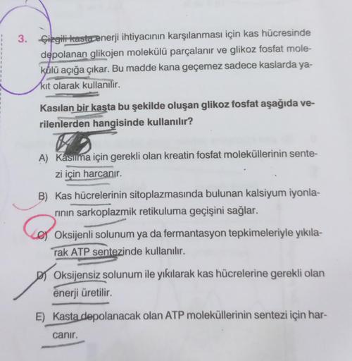 3. Gizgili hastanerji ihtiyacının karşılanması için kas hücresinde
depolanan glikojen molekülü parçalanır ve glikoz fosfat mole-
külü açığa çıkar. Bu madde kana geçemez sadece kaslarda ya-
kit olarak kullanılır.
Kasılan bir kaşta bu şekilde oluşan glikoz f