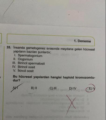 1. Deneme
35. Insanda gametogenez sırasında meydana gelen hücresel
yapıların bazıları şunlardır;
1. Spermatogonium
II. Oogonium
III. Birincil spermatosit
IV. Birincil oosit
V. Ikincil oosit
Bu hücresel yapılardan hangisi haploid kromozomlu-
dur?
AM
B) II
C