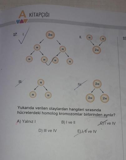 A KİTAPÇIĞI
17.
2n
II.
n
n
19
n
n
2n
n
n
n
n
ILL.
n
IV
2n
n
n
2n
2n
Yukarıda verilen olaylardan hangileri sırasında
hücrelerdeki homolog kromozomlar birbirinden ayrılır?
A) Yalnız!
B) I ve 11
ET ve IV
D) III ve IV
E), II ve IV
