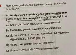 5.
Floemde organik madde taşınması basınç - akış teorisi
ile açıklanır.
Bu teoriye göre organik madde taşınmasında aşa-
-ğıdaki olaylardan hangisi ilk sırada gerçekleşir? of
A) Ksilemden floem hücrelerine suyun geçmesi
B) Floemdeki şekerin havuz hücreye aktarılması
C) Su basıncının artması ve maddelerin bir hücreden
diğerine kütle hâlinde geçmesi
D) Yapraktaki şekerin floeme yüklenmesi
E) Floem hücrelerinde ozmolaritenin artması