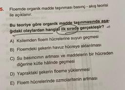 5.
Floemde organik madde taşınması basınç - akış teorisi
ile açıklanır.
Bu teoriye göre organik madde taşınmasında aşa-
-ğıdaki olaylardan hangisi ilk sırada gerçekleşir? of
A) Ksilemden floem hücrelerine suyun geçmesi
B) Floemdeki şekerin havuz hücreye aktarılması
C) Su basıncının artması ve maddelerin bir hücreden
diğerine kütle hâlinde geçmesi
D) Yapraktaki şekerin floeme yüklenmesi
E) Floem hücrelerinde ozmolaritenin artması
