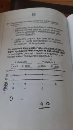 B
34. Ba canlılar arasındaki simbiyotik ilişkiler aşaçıda
verilmiştir.
• Xetkileşimi: Midye kabuklarına tutunarak yaşayan
midyenin sağladığı su akıntısı sayesinde gelen
Bryozoa midyeye yarar ya da zarar vermeder)
besinlerle beslenir
Yetkileşimi: Juglans nigra (kara ceviz), juglon
adında bir madde salgıladığı için dip kısımlarında
ot ve benzeri bitkiler gelişmez.
biçimi aşağıdakilerden hangisinde doğru verilmiştir?
Bu simbiyotik ilişki çeşitlerinde canlıların etkilenme
(+ işareti fayda görmeyi, - işareti zarar görmeyi, o ise
ilişkiden etkilenmemeyi ifade etmektedir.)
Xetkileşimi
I. canli II. canli
Yetkileşimi
I. canli
II. canli
A
B)
+
C
+
+
0
+
0
0
+
0
O
+
