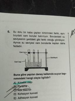 6. Su dolu bir kaba çapları birbirinden farklı, aynı
boydaki cam borular batırılıyor. Borulardaki su
seviyesinin şekildeki gibi farklı olduğu görülüyor.
Ayrıca su seviyesi cam borularda kaptan daha
fazladır.
Cam boru
Sabitleyici
Cam kap
Su
Buna göre yapılan deney ksilemde suyun taşı-
nimindaki hangi olayla ilgilidir?
A) Kilcallik olayı
BT Terleme
C) Kök basınct
D) Kohezyon kuvveti
E) Adhezyon kuvveti