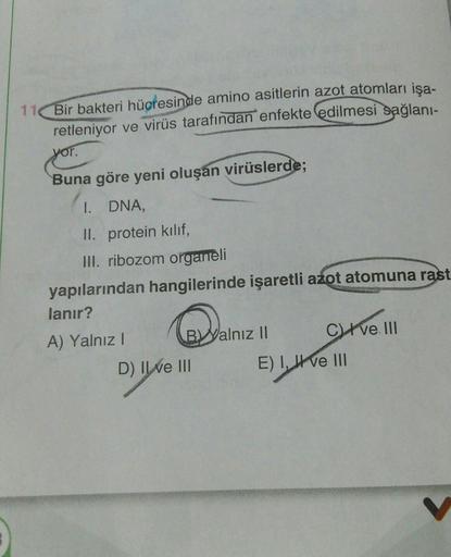 11 Bir bakteri hücresinde amino asitlerin azot atomları işa-
retleniyor ve virüs tarafından enfekte edilmesi sağlanı-
yor.
Buna göre yeni oluşan virüslerde;
1. DNA,
II. protein kılıf,
III. ribozom organeli
yapılarından hangilerinde işaretli azot atomuna ra