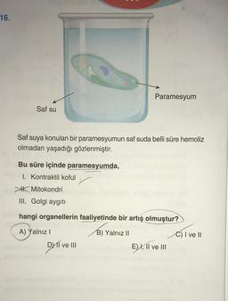 16.
Paramesyum
Saf su
Saf suya konulan bir paramesyumun saf suda belli süre hemoliz
olmadan yaşadığı gözlenmiştir.
Bu süre içinde paramesyumda,
I. Kontraktil koful
th Mitokondri
III. Golgi aygıtı
hangi organellerin faaliyetinde bir artış olmuştur?
A) Yalnız!
B) Yalnız II
C) I ve II
DII
DY II ve III
E) I, II ve III
