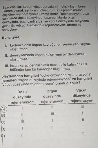 Bazı canlılar, kopan vücut parçalarının eksik kısımlarını
tamamlayarak yeni canlı oluşturur. Bu eşeysiz üreme
çeşidine rejenerasyonla üreme denir. Rejenerasyon; bazı
canlılarda doku düzeyinde, bazı canlılarda organ
düzeyinde, bazı canlılarda ise vücut düze