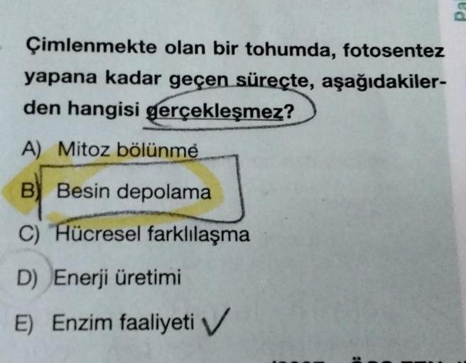 Çimlenmekte olan bir tohumda, fotosentez
yapana kadar geçen süreçte, aşağıdakiler-
den hangisi gerçekleşmez?
A) Mitoz bölünme
B) Besin depolama
C) Hücresel farklılaşma
D) Enerji üretimi
E) Enzim faaliyeti
