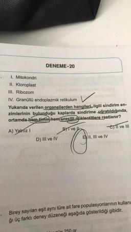 DENEME-20
.
1. Mitokondri
II. Kloroplast
III. Ribozom
IV. Granüllü endoplazmik retikulum
Yukarıda verilen organellerden hangilerin ilgili sindirim en-
zimlerinin bulunduğu kaplarda sindirime uğratıldığında,
ortamda hem timin hem urasilli nükleotitlere rastlanır?
A) Yalnız!
BAT ve
ell ve III
D) III ve IV
EDII, III ve IV
"O
Birey sayıları eşit aynı türe ait fare populasyonlarının kullanı
ğı üç farklı deney düzeneği aşağıda gösterildiği gibidir.
in 250 gr