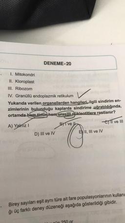 DENEME-20
.
1. Mitokondri
II. Kloroplast
III. Ribozom
IV. Granüllü endoplazmik retikulum
Yukarıda verilen organellerden hangilerin ilgili sindirim en-
zimlerinin bulunduğu kaplarda sindirime uğratıldığında,
ortamda hem timin hem urasilli nükleotitlere rastlanır?
A) Yalnız!
BAT ve
ell ve III
D) III ve IV
EDII, III ve IV
"O
Birey sayıları eşit aynı türe ait fare populasyonlarının kullanı
ğı üç farklı deney düzeneği aşağıda gösterildiği gibidir.
in 250 gr
