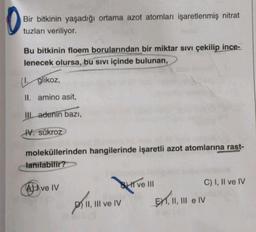 Bir bitkinin yaşadığı ortama azot atomları işaretlenmiş nitrat
tuzları veriliyor.
Bu bitkinin floem borularından bir miktar sivi çekilip ince-
lenecek olursa, bu sivi içinde bulunan,
(1. glikoz,
II. amino asit,
III. adenin bazı,
IV. sükroz
moleküllerinden hangilerinde işaretli azot atomlarına rast-
lanılabilir?
Ave IV
tive
ve III
pulver
EH,1
C) I, II ve IV
II, III e IV
II, III ve IV