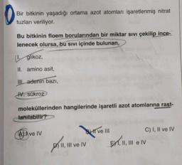 Bir bitkinin yaşadığı ortama azot atomları işaretlenmiş nitrat
tuzları veriliyor.
Bu bitkinin floem borularından bir miktar sivi çekilip ince-
lenecek olursa, bu sivi içinde bulunan,
(1. glikoz,
II. amino asit,
III. adenin bazı,
IV. sükroz
moleküllerinden hangilerinde işaretli azot atomlarına rast-
lanılabilir?
Ave IV
tive
ve III
pulver
EH,1
C) I, II ve IV
II, III e IV
II, III ve IV
