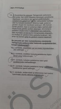 2021-TYT/Türkçe
5. ()) Avustralya'da yaşayan Tetragonula carbonaria
türü arılar, balı üzüm tanesine benzeyen çanaklarda
depoluyor; yavrularını ise sarmal şekilli kuluçka
peteklerinde yetiştiriyor. (1) Bir mühendislik harikası
olan bu kuluçka petekleri, birbirine bağlı yüzlerce
gözden oluşan bir merdiveni andırıyor. (III) Zaman
içinde gözlere, dışa ve yukarıya doğru sarmal yapı
oluşturacak şekilde yenileri ekleniyor. (IV) Anıların
petekleri oluştururken kullandıkları ana malzeme..
bitki reçineleri ve bal mumu karışımından oluşuyor.
(V) Kraliçe arı gözlere birer yumurta bırakıyor, işçi
arılar da hemen gelip bu gözlerin üzerini kapatıyor.
Bu parçada yer alan numaralanmış cümlelerde
Tetragonula carbonarialar hakkında aşağıdakilerden
hangisi söylenemez
Al l. cümlede, yaşadıkları yer ve üretim biçimlerinden
söz edilmiştir.
B) II. cümlede, ürettikleri kuluçka peteklerine ilişkin
öznel yargı kullanılmıştır.
C) III. cümlede, kuluçka peteklerine nasıl şekil
verdiklerinden bahsedilmiştir.
D) IV. cümlede, kuluçka peteklerini hangi maddeden
ürettiklerine işaret edilmiştir.
E) V. cümlede, aralarındaki iş bölümünün bal üretimi
üzerindeki olumlu etkisine değinilmiştir.
S
ÖSYMY
A BOM
