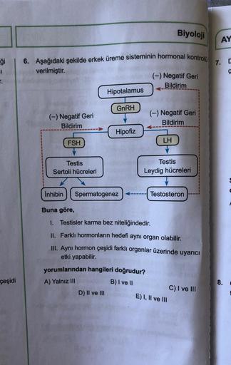 Biyoloji
AY
7.
I
ç
ği 6. Aşağıdaki şekilde erkek üreme sisteminin hormonal kontroli
verilmiştir.
r.
(-) Negatif Geri
Bildirim
Hipotalamus
GnRH
(-) Negatif Geri
Bildirim
(-) Negatif Geri
Bildirim
Hipofiz
FSH
LH
Testis
Sertoli hücreleri
Testis
Leydig hücrele