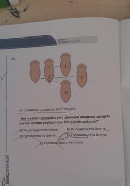 SAYAÇ DENEMELERİ
17.
00
Bir planarya üç parçaya bölünmüştür.
Her kesilen parçadan yeni planarya oluşması aşağıda
verilen üreme çeşitlerinden hangisiyle açıklanır?
A) Partenogenezle üreme
C) Sporlanma ile üreme
B) Konjugasyonla üreme
D) Rejenerasyonla üreme
E) Tomurcuklanma ile üreme
SAYAÇDENEMELERİ
