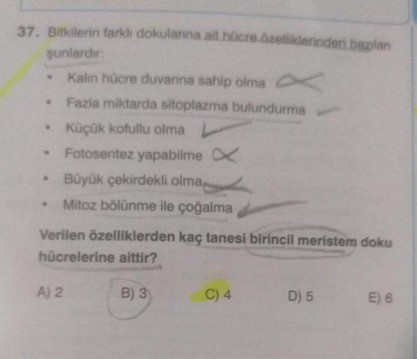 37. Bitkilerin farklı dokularına ait hücre özellikl… Biyoloji 37. Bitkilerin farklı dokularına ait hücre özellikl… Biyoloji