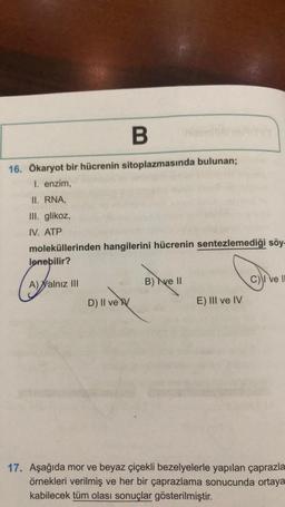 B.
16. Ökaryot bir hücrenin sitoplazmasında bulunan;
1. enzim,
II. RNA,
III. glikoz,
IV. ATP
moleküllerinden hangilerini hücrenin sentezlemediği söy-
lenebilir?
B) Ne 11
A) Yalnız III
C) I ve II
D) II ve
E) III ve IV
17. Aşağıda mor ve beyaz çiçekli bezelyelerle yapılan çaprazla
örnekleri verilmiş ve her bir çaprazlama sonucunda ortaya
kabilecek tüm olası sonuçlar gösterilmiştir.