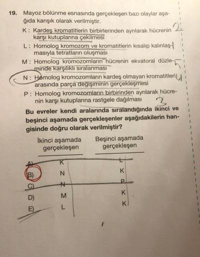 19. Mayoz bölünme esnasında gerçekleşen bazı olaylar aşa-
ğıda karışık olarak verilmiştir.
K: Kardeş kromatitlerin birbirlerinden ayrılarak hücrenin
karşı kutuplarına çekilmesi
L: Homolog kromozom ve kromatitlerin kısalıp kalınlaşt
masıyla tetratların oluş