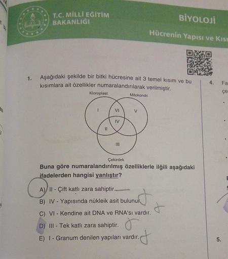 T.C. MİLLİ EĞİTİM
BAKANLIGI
BİYOLOJİ
Hücrenin Yapısı ve Kist
1.
Aşağıdaki şekilde bir bitki hücresine ait 3 temel kısım ve bu
kısımlara ait özellikler numaralandırılarak verilmiştir.
Kloroplast
4. Fa
08
çe
Mitokondri
VI
V
IV
II
V
Çekirdek
Buna göre numaral