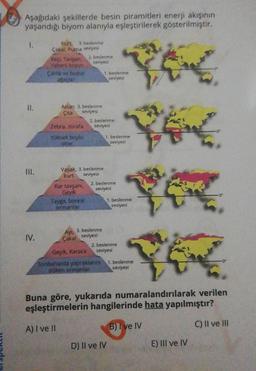Aşağıdaki şekillerde besin piramitleri enerji akişinin
yaşandığı biyom alanıyla eşleştirilerek gösterilmiştir.
L
Kuft, bestenme
Casal Puma eviyes
2. beslenme
Keçi Tavşan
Yabani kayon
seviyesi
Çalik ve bodo 1. beslenme
seviyesi
II.
Aslan 3. beslenme
seviyes