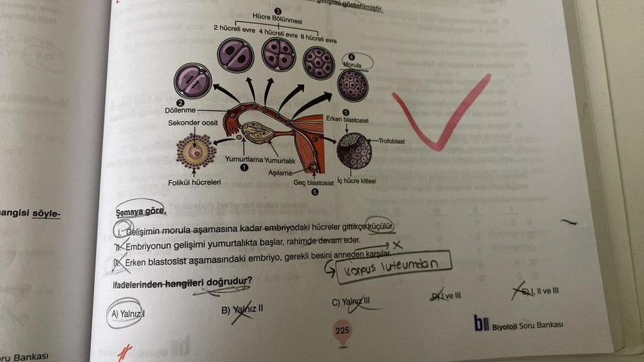 .
yelişimi gösterilmistir.
Hücre Bölünmesi
2 hücreli evre 4 hücreli evre 8 hücreli evre
Morula
Döllenme
Erken blastosist
Sekonder oosit
-Trofoblast
Yumurtlama Yumurtalık
Folikül hücreleri
Aşılama
Geç blastosist iç hücre kitlesi
nangisi söyle-
Semaya göre,
