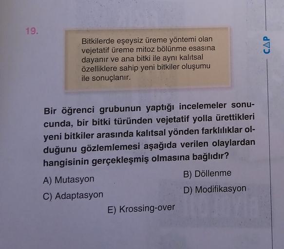 19.
CAP
Bitkilerde eşeysiz üreme yöntemi olan
vejetatif üreme mitoz bölünme esasına
dayanır ve ana bitki ile aynı kalıtsal
özelliklere sahip yeni bitkiler oluşumu
ile sonuçlanır.
Bir öğrenci grubunun yaptığı incelemeler sonu-
cunda, bir bitki türünden veje