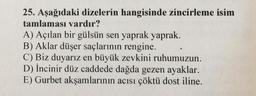 25. Aşağıdaki dizelerin hangisinde zincirleme isim
tamlaması vardır?
A) Açılan bir gülsün sen yaprak yaprak.
B) Aklar düşer saçlarının rengine.
C) Biz duyarız en büyük zevkini ruhumuzun.
D) İncinir düz caddede dağda gezen ayaklar.
E) Gurbet akşamlarının acısı çöktü dost iline.
