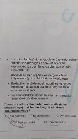 G
Sucul kaplumbağaların kabukları üzerinde gelişen
alglerin kaplumbağa ile hareket ederken
kaplumbağaya olumlu ya da olumsuz bir etki
göstermemesi
• Canavar otunun organik ve inorganik besin
ihtiyacını doğrudan bir bitkiden karşılaması
• Baklagiller ile köklerindeki nodüllere yerleşen
Rhizobium bakterileri arasında karşılıklı besin
aktarımı yapılması
İneklerin otlak bir alanda beslenirken çimenler
arasındaki böcekleri ezmesi
Yukarıda verilmiş olan türler arası etkileşimler
arasında aşağıdakilerden hangisi için örnek
bulunmamaktadır?
A) Tam parazitlik
B) Mutualizm
C) Amensalizm
D) Endoparazitlik
E) Kommensalizm
