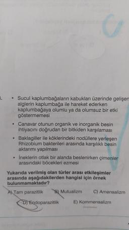 G
Sucul kaplumbağaların kabukları üzerinde gelişen
alglerin kaplumbağa ile hareket ederken
kaplumbağaya olumlu ya da olumsuz bir etki
göstermemesi
• Canavar otunun organik ve inorganik besin
ihtiyacını doğrudan bir bitkiden karşılaması
• Baklagiller ile köklerindeki nodüllere yerleşen
Rhizobium bakterileri arasında karşılıklı besin
aktarımı yapılması
İneklerin otlak bir alanda beslenirken çimenler
arasındaki böcekleri ezmesi
Yukarıda verilmiş olan türler arası etkileşimler
arasında aşağıdakilerden hangisi için örnek
bulunmamaktadır?
A) Tam parazitlik
B) Mutualizm
C) Amensalizm
D) Endoparazitlik
E) Kommensalizm
