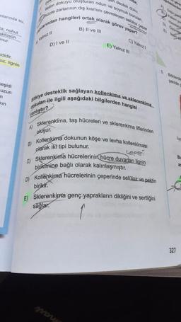 iletim dokuyu oluşturan odun ve soymuk boruları,
pel
da,
destek doku,
gidakilerde
zarlarının dış kısmını çevreleyen selüloz çeper
A Detyo para
Bilets
mlarında su,
hücre
papilarindan hangileri ortak olarak görev yapar?
B) II ve III
Di Oro
E) Holingo
ta; nohut
aktüsün
unur.
a) Yalnız 11
C) Yalnız
D) I ve II
E) Yalnız Il
ididir.
oz, lignin
5.
Bitkilerde
sekilde
ceşidi
uzun
n
kin
Bitkiye desteklik sağlayan kollenkima
ve sklerenkima.
dokular ile ilgili aşağıdaki bilgilerden hangisi
yanlıştır?
Sklerenkima, taş hücreleri ve sklerenkima liflerinden
A)
oluşur.
Kollenkima dokunun köşe ve levha kollenkimasi
Geperi
Yap
B)
BU
as
olarak iki tipi bulunur.
C) Sklerenkima hücrelerinin hücre duvarları lignin
birikimine bağlı olarak kalınlaşmıştır.
D) Kollenkima hücrelerinin çeperinde selüloz ve pektin
birikir.
E) Sklerenkima genç yaprakların dikliğini ve sertliğini
sağlar.
327
