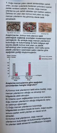 7. Doğu mercan yılanı olarak isimlendirilen zehirli
yılan, avcıları (yılanlarla beslenen yırtıcıları) uyaran
parlak renklere sahiptir. Avcılar, doğu mercan
yılanlarına çok zehirli oldukları için nadiren saldırır.
Zehirsiz bir yılan olan kırmızı kral yılanı