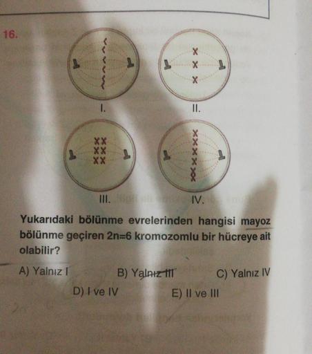 16.
X
X
wa
* * *
1.
II.
***
XX
XX
XX
XXX
XXXXXX
III. IV.
Yukarıdaki bölünme evrelerinden hangisi mayoz
bölünme geçiren 2n=6 kromozomlu bir hücreye ait
olabilir?
A) Yalnız
C) Yalnız IV
B) Yalnız tt
D) I ve IV
E) II ve III
