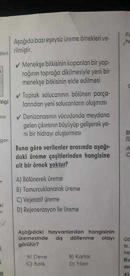 Aşağıda bazı eşeysiz üreme örnekleri ve-
Fa
he
tleri rilmiştir
.
✓ Menekşe bitkisinin koparılan bir yap-
rağının toprağa dikilmesiyle yeni bir
menekşe bitkisinin elde edilmesi
lliği
ma
✓ Toprak solucanının bölünen parça-
larından yeni solucanların oluşması
✓ Denizanasının vücudunda meydana
gelen çıkıntının büyüyüp gelişerek ye-
ni bir hidrayı oluşturması
B.
ger-
A
Buna göre verilenler arasında aşağı-
daki üreme çeşitlerinden hangisine
ait bir örnek yoktur?
A) Bölünerek üreme
B) Tomurcuklanarak üreme
C) Vejetatif üreme
D) Rejenerasyon ile üreme
ki
Aşağıdaki hayvanlardan hangisinin
üremesinde dış döllenme olayı
görülür?
GE
<
A) Deve
C) Balik
B) Kartal
D) Yilan
Bu
de
A)
