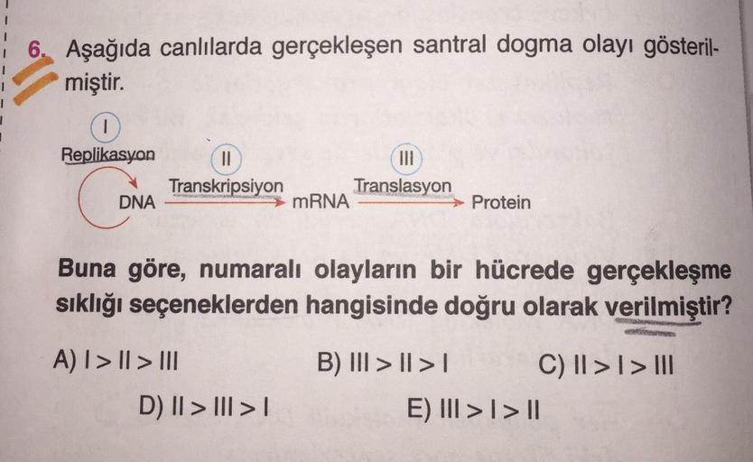 16. Aşağıda canlılarda gerçekleşen santral dogma olayı gösteril-
miştir.
1
1
Replikasyon
11
Transkripsiyon
Translasyon
mRNA
DNA
Protein
Buna göre, numaralı olayların bir hücrede gerçekleşme
sıklığı seçeneklerden hangisinde doğru olarak verilmiştir?
A) I >