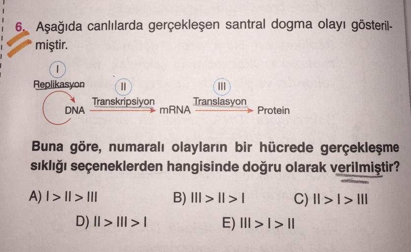 16. Aşağıda canlılarda gerçekleşen santral dogma olayı gösteril-
miştir.
1
1
Replikasyon
11
Transkripsiyon
Translasyon
mRNA
DNA
Protein
Buna göre, numaralı olayların bir hücrede gerçekleşme
sıklığı seçeneklerden hangisinde doğru olarak verilmiştir?
A) I > 