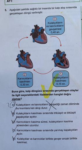 AYT
5. Aşağıdaki şekilde sağlıklı bir insanda bir kalp atışı sırasında
gerçekleşen döngü verilmiştir.
Kulakçıkların
ve karıncıkların
gevşemesi
0,40 sn.
2
Karıncıkların
kasılması
0,30 sn.
Kulakçıkların
kasılması
0,15 sn.
Buna göre, kalp döngüsü sırasında ge