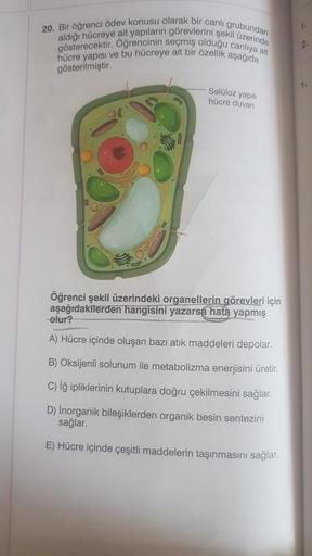 1.
20. Bir öğrenci ödev konusu olarak bir canli grubundan
gösterecektir. Öğrencinin seçmiş olduğu canlıya ait
aldığı hücreye ait yapıların görevlerini şekil üzerinde
hücre yapısı ve bu hücreye ait bir özellik aşağıda
2
gösterilmiştir.
1:
Selüloz yapıl
hücr