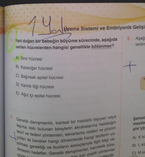 14
Üreme Sistemi ve Embriyonik Gelişi
Yeni doğan bir bebeğin büyüme sürecinde, aşağıda
verilen hücrelerden hangisi genellikle bölünmez?
3. Aşağ
terilm
A) Sinir hücresi
t
B) Karaciğer hücresi
C) Bağırsak epitel hücresi
D) Kemik iliği hücresi
E) Ağız içi epi