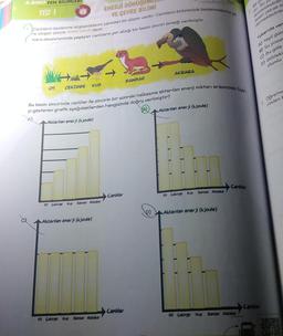 3.SINIF FEN BILIMLE
ENERJİ DÖNÜ
TEST 1
Birço
dir. suy
VE ÇEVRE BİLİMİ
lenmektedirle
besin olarak ti
dürmektedirle
Canlıların beslenme alışkanlıklarını yansıtan bir düzen vardır. Canlıların birbirleriyle beslenmelerine go-
re oluşan zincire besini zinci denir.
Kara ekosisteminde yaşayan canlıların yer aldığı bir besin zinciri örneği verilmiştir.
Yukarıda ver
A) Yeşil gün
B) Su yosur
C) Bu göle
D) Göldeki
olumlu
SANSAR
3.
AKBABA
OT CEKİRGE KUS
Bu besin zincirinde canlılar ile zincirin bir sonraki halkasına aktarılan enerji miktarı arasındaki ilişki-
yi gösteren grafik aşağıdakilerden hangisinde doğru verilmiştir?
A)
B)
Aktarılan enerji (kjoule)
Aktarılan enerji (kjoule)
Öğretme
rindent
Canitar
Canlilar
Ot Gekinge Kuß Sansar Akbaba
Ot Geldige ku Sansar Aktabs
Aktarılan enerji (kjoule)
Aktarılan enerji (kjoule)
Cantar
Canlılar
of College Ku Sangay Akbabe
of Çekirge kus Saksar Akbabe