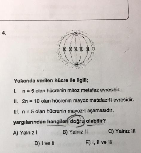 4.
XXXXX
Yukarıda verilen hücre ile ilgili;
L
n = 5 olan hücrenin mitoz metafaz evresidir.
II. 2n = 10 olan hücrenin mayoz metafaz-ll evresidir.
WI. n = 5 olan hücrenin mayoz-l aşamasıdır.
yargılarından hangileri doğru olabilir?
A) Yalnız 1
B) Yalnız
C) Ya