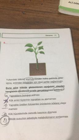 ALİ DİN
Deneme - 11
8.
Yukarıdaki bitkinin
soymuk boruları halka şeklinde çıkar-
tılmış, ardından fotosentez için ideal şartlar sağlanmıştır.
Buna göre bitkide gözlemlenen-aşağıdaki
olaydan
hangisinin dördüncü sırada gerçekleşmesi beklenir?
Yaprakların buruşup solması
Kök emici tüylerinin topraktan su alamaması
C) Yaprakta üretilen fotosentez ürünlerinin köklere ulaşa-
maması
D) Kök hücrelerinde osmotik basıncın düşmesi
E
E) Bitkide susuzluk sebebiyle metabolizmanın sonlanması