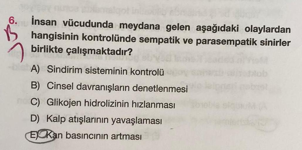 6.
B
İnsan vücudunda meydana gelen aşağıdaki olaylardan
hangisinin kontrolünde sempatik ve parasempatik sinirler
birlikte çalışmaktadır?
A) Sindirim sisteminin kontrolü
B) Cinsel davranışların denetlenmesi
C) Glikojen hidrolizinin hızlanması
D) Kalp atışla