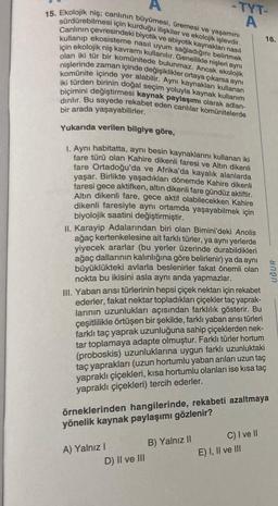 -TYT-
A
16.
15. Ekolojik niş; canlının büyümesi, üremesi ve yaşamını
sürdürebilmesi için kurduğu ilişkiler ve ekolojik işlevdir.
Canlının çevresindeki biyotik ve abiyotik kaynakları nasıl
kullanıp ekosisteme nasıl uyum sağladığını belirtmek
için ekolojik niş kavramı kullanılır. Genellikle nişleri aynı
olan iki tür bir komunitede bulunmaz. Ancak ekolojik
nişlerinde zaman içinde değişiklikler ortaya çıkarsa aynı
komünite içinde yer alabilir. Aynı kaynakları kullanan
iki türden birinin doğal seçim yoluyla kaynak kullanım
dirilir. Bu sayede rekabet eden canlılar komünitelerde
biçimini değiştirmesi kaynak
paylaşımı olarak adlan-
bir arada yaşayabilirler.
Yukarıda verilen bilgiye göre,
1. Aynı habitatta, aynı besin kaynaklarını kullanan iki
fare türü olan Kahire dikenli faresi ve Altın dikenli
fare Ortadoğu'da ve Afrika'da kayalık alanlarda
yaşar. Birlikte yaşadıkları dönemde Kahire dikenli
faresi gece aktifken, altın dikenli fare gündüz aktiftir.
Altin dikenli fare, gece aktif olabilecekken Kahire
dikenli faresiyle aynı ortamda yaşayabilmek için
biyolojik saatini değiştirmiştir.
II. Karayip Adalarından biri olan Bimini'deki Anolis
ağaç kertenkelesine ait farklı türler, ya aynı yerlerde
yiyecek ararlar (bu yerler üzerinde durabildikleri
ağaç dallarının kalınlığına göre belirlenir) ya da aynı
büyüklükteki avlarla beslenirler fakat önemli olan
nokta bu ikisini asla aynı anda yapmazlar.
III. Yaban arısı türlerinin hepsi çiçek nektarı için rekabet
ederler, fakat nektar topladıkları çiçekler taç yaprak-
larının uzunlukları açısından farklılık gösterir. Bu
UĞUR
çeşitlilikle örtüşen bir şekilde, farklı yaban arısı türleri
farklı taç yaprak uzunluğuna sahip çiçeklerden nek-
tar toplamaya adapte olmuştur. Farklı türler hortum
(proboskis) uzunluklarına uygun farklı uzunluktaki
taç yaprakları (uzun hortumlu yaban arıları uzun taç
yapraklı çiçekleri, kısa hortumlu olanları ise kısa taç
yapraklı çiçekleri) tercih ederler.
örneklerinden hangilerinde, rekabeti azaltmaya
yönelik kaynak paylaşımı gözlenir?
B) Yalnız II
A) Yalnız !
D) II ve III
C) I ve II
E) I, II ve III
