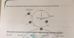 48. Şemada bir ekosistemdeki doğal azot döngüsünde görev alan canlılar numara ile belirtilmiştir.
Havanın azotu
Bitkiler
NO
Hayvanlar
Ölüm veya organik
atıklar
3
NO2
NH,
2
Şemaya göre numaralandırılan canlılardan hangileri besin sentezi için işığa ihtiyaç duymaz?
A) 1 ve 2
B) 1 ve 4
C) 2 ve 3
D) 3 ve 4
E) 1, 2 ve 4
