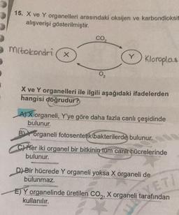 15. X ve Y organelleri arasındaki oksijen ve karbondioksit
alışverişi gösterilmiştir.
CO
mitokondri (x
v Kloroplas
0,
X ve Y organelleri ile ilgili aşağıdaki ifadelerden
hangisi doğrudur?
A) X organeli, Y'ye göre daha fazla canlı çeşidinde
bulunur.
B) Yorganeli fotosentetik bakterilerde bulunur.
C) Her iki organel bir bitkinin tüm canir hücrelerinde
bulunur.
D) Bir hücrede Y organeli yoksa X organeli de
bulunmaz.
E) Y organelinde üretilen CO2, X organeli tarafından
kullanılır.
ar ET
