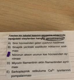 Lasılan bir iskelet kasının gevşeme sürecinde
aşağıdaki olaylardan hangisi gerçekleşmez
A) Sinir hücresinden gelen uyartının kesilmesi
B) Sinaptik yarıktaki asetilkolin miktarının azal-
ması
Nöronun akson ucunun kas hücresinden ay-
rılması
D) Miyozin filamentinin aktin filamentinden ayrıl-
ması
E) Sarkoplazmik retikuluma Ca2+ iyonlarının
pompalanması
