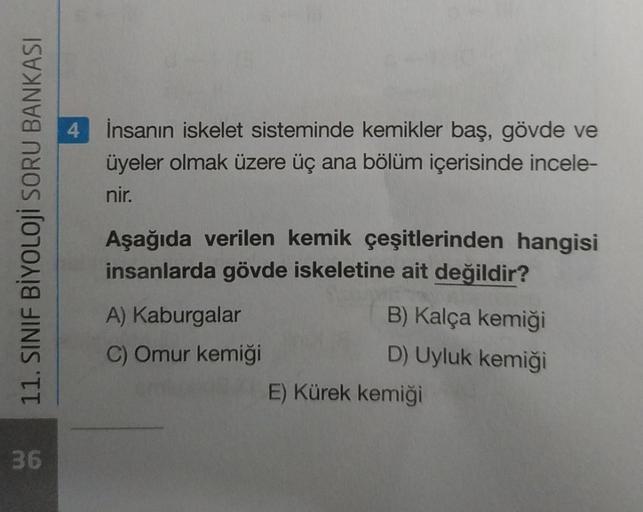 4
İnsanın iskelet sisteminde kemikler baş, gövde ve
üyeler olmak üzere üç ana bölüm içerisinde incele-
nir.
11. SINIF BİYOLOJİ SORU BANKASI
Aşağıda verilen kemik çeşitlerinden hangisi
insanlarda gövde iskeletine ait değildir?
A) Kaburgalar
B) Kalça kemiği
