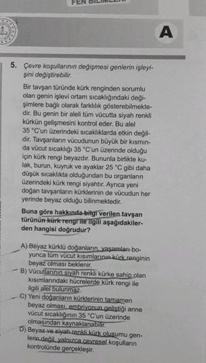 A
5. Çevre koşullarının değişmesi genlerin işleyi-
şini değiştirebilir.
Bir tavşan türünde kürk renginden sorumlu
olan genin işlevi ortam sıcaklığındaki deği-
şimlere bağlı olarak farklılık gösterebilmekte-
dir. Bu genin bir aleli tüm vücutta siyah renkli

