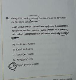 18. Okaryot hücrelerin çekirdegi, metilen mavisi ile boyanabil-
me özelligine sahiptir
Insan vücudundan izole edilen aşağıdaki hücrelerden
hangisine metilen mavisi uygulanması durumunda,
mikroskop incelemelerinde çekirdek varlığına rastlan.
A) Iskelet kasi hücresi
B) Kalp kasi hücresi
C) Karaciğer hücresi
D) Akyuvar hücres
E) Olgun alyuvar hücresi
niner sayfaya geçiniz.