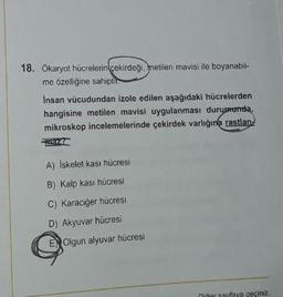 18. Okaryot hücrelerin çekirdegi, metilen mavisi ile boyanabil-
me özelligine sahiptir
Insan vücudundan izole edilen aşağıdaki hücrelerden
hangisine metilen mavisi uygulanması durumunda,
mikroskop incelemelerinde çekirdek varlığına rastlan.
A) Iskelet kasi hücresi
B) Kalp kasi hücresi
C) Karaciğer hücresi
D) Akyuvar hücres
E) Olgun alyuvar hücresi
niner sayfaya geçiniz.
