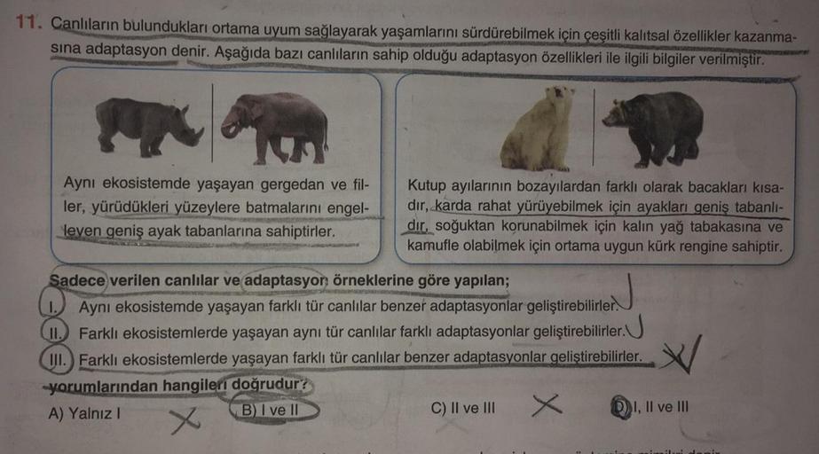 11. Canlıların bulundukları ortama uyum sağlayarak yaşamlarını sürdürebilmek için çeşitli kalıtsal özellikler kazanma-
sina adaptasyon denir. Aşağıda bazı canlıların sahip olduğu adaptasyon özellikleri ile ilgili bilgiler verilmiştir.
Aynı ekosistemde yaşa